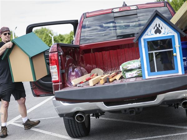 Local Girl Scouts build Little Free Libraries for 2 schools