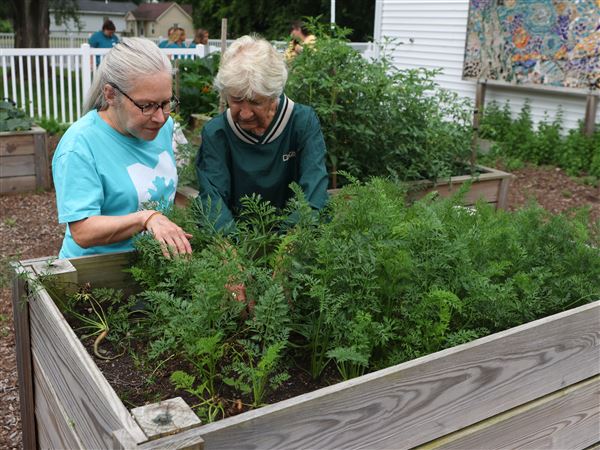 OSU Extension cuts educator position after county denies funding increase