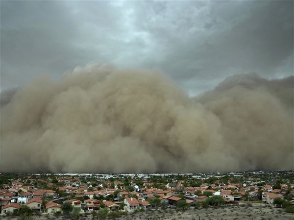 After fearsome dust storm rips Phoenix area, trees cleaned up and power restored