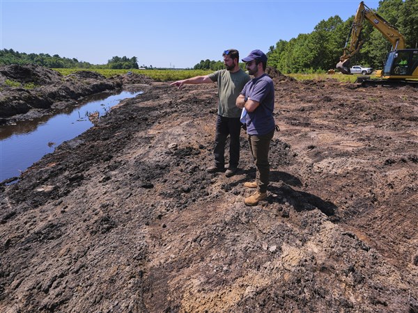 Massachusetts cranberry bogs are being given a second life as vibrant ...