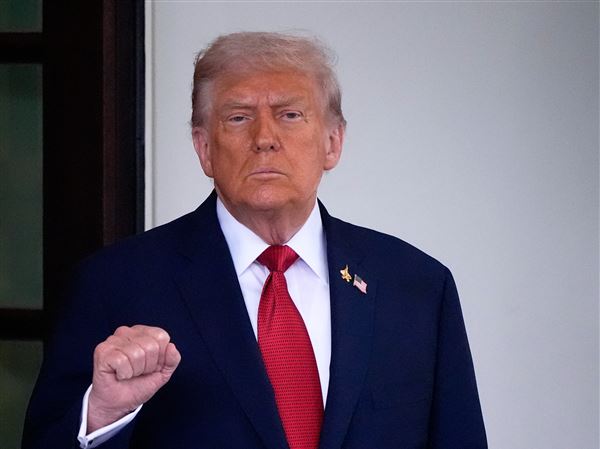 Trump to put import taxes on pharmaceutical drugs, kitchen cabinets, furniture and heavy trucks