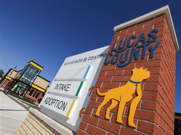 LC4 to host Valentine’s Day-inspired adoption special, donation drive