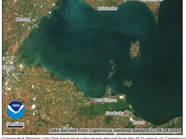 NOAA: Summer 2025 algal bloom was mild, within range