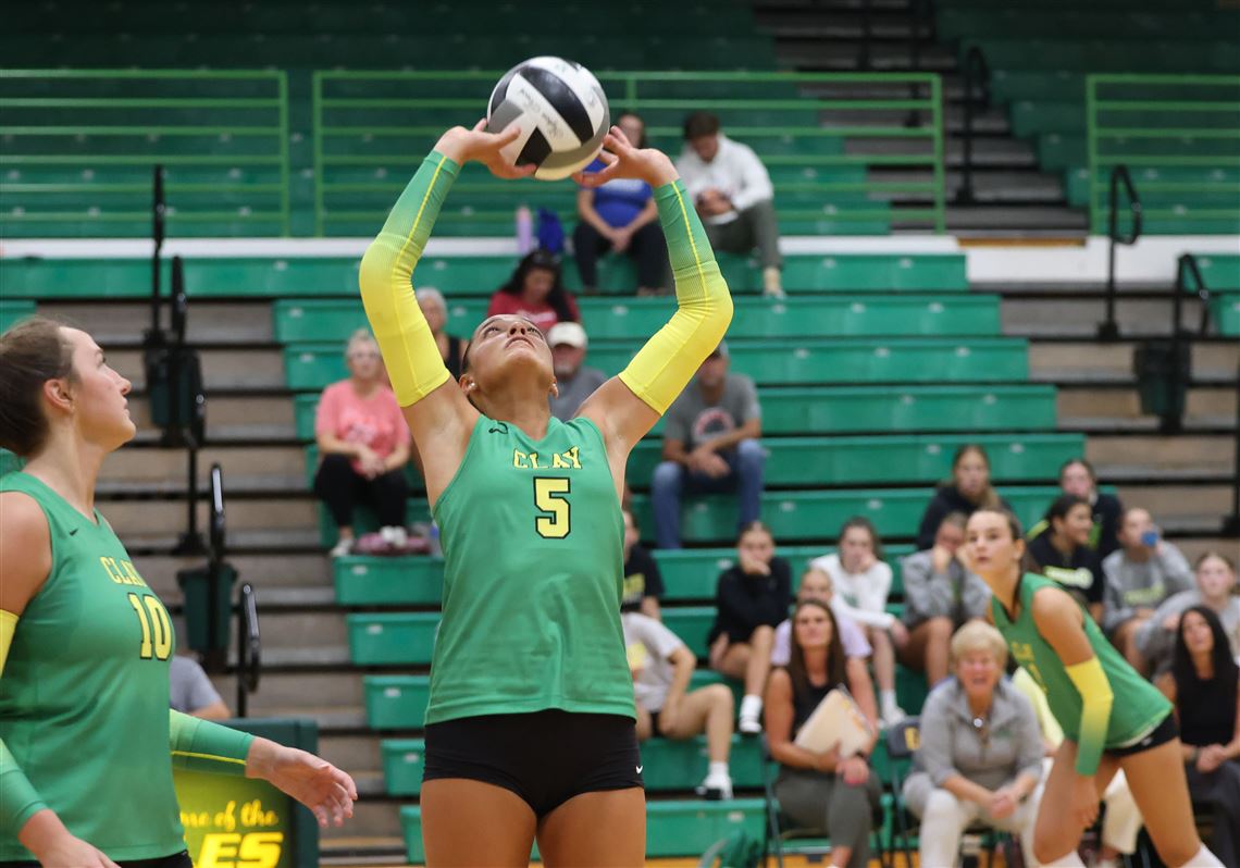2025 high school volleyball season stat leaders for week of Sept. 28 | The  Blade