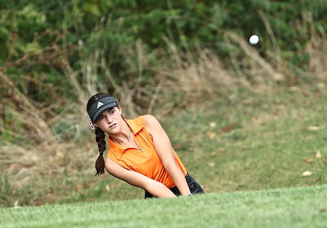 Van Buren, Fremont St. Joseph golfers eyeing top-10 finishes at OHSAA D-II  girls state finals | The Blade