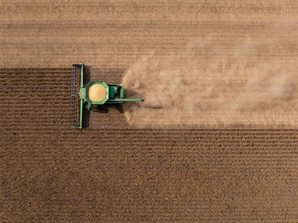 Trump razmišlja o obsežni pomoči ameriškim kmetom zaradi trgovinske vojne