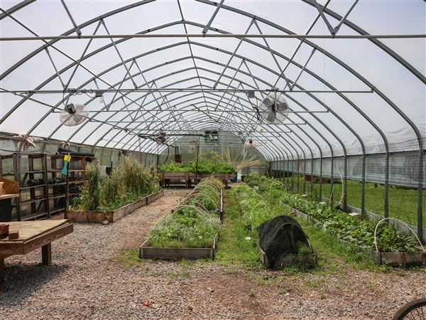 The greenhouse is featured at Toledo GROWS in Toledo on June 23.