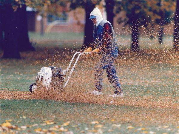 Bay View Retirees Golf Course manager Bernie Kolasinski  blows leaves off the 11th tee.  Blade photo taken Oct. 24, 1994.