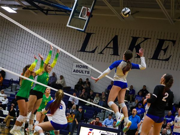Anthony Wayne's Mallory Pike soars to spike the ball against Clay in a girls high school volleyball game.