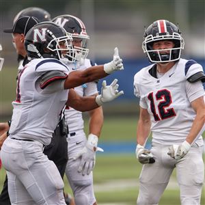 The Napoleon football team earned a first-round bye in the Division IV state playoffs.