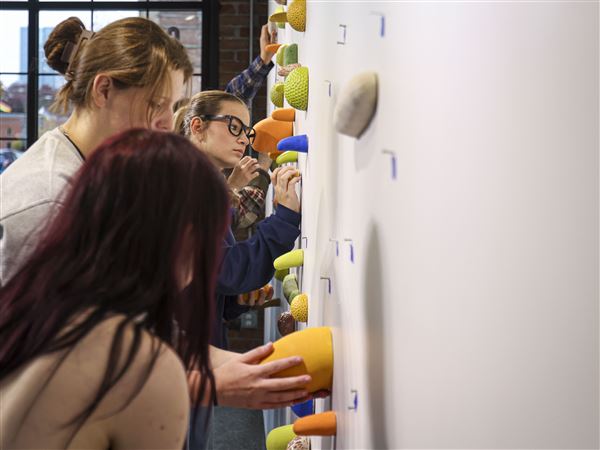 Identity and whimsy: Skin Crawl opens at the Portal