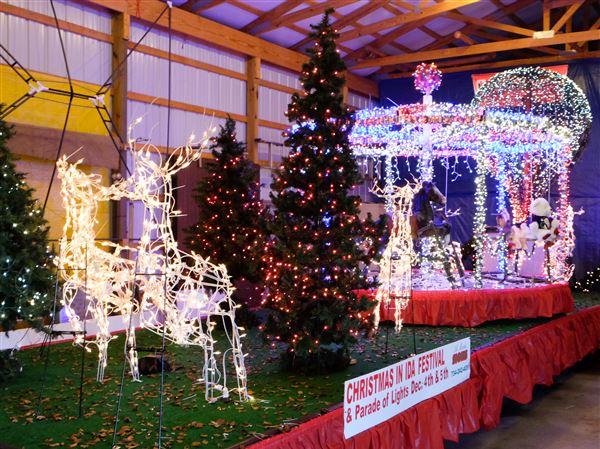 Boys choir to perform at Christmas in Ida concert