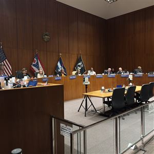 Toledo City Council unanimously voted to ban the sale of synthetic kratom products within city limits on Nov. 5 at One Government Center in Toledo.