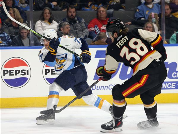 Walleye's late rally falls short in 5