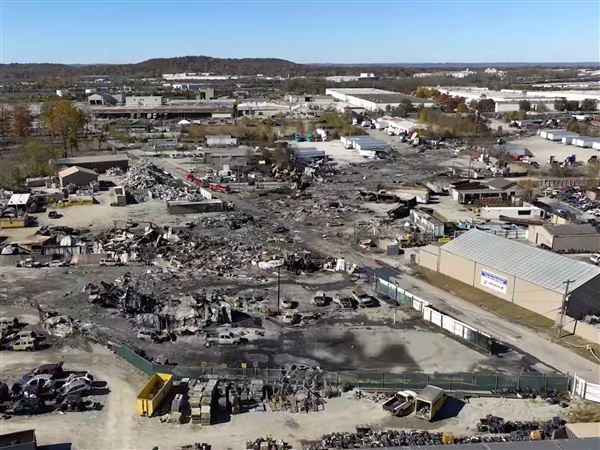 UPS and FedEx grounding MD-11 planes following deadly Kentucky crash