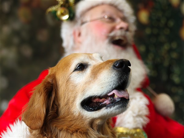 Santa helps make wishes come true for pets and Nature&amp;#39;s Nursery