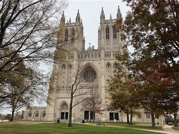 A bipartisan show of respect and remembrance is set for Dick Cheney's funeral, absent Trump