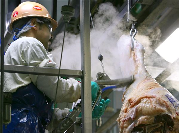 Tyson's beef plant closure in Nebraska will impact a reliant town and ranchers nationwide