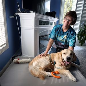 Jamie Osborn with her 11-month-old golden retriever Aziraphale, a service dog in training, at her home in Perrysburg.