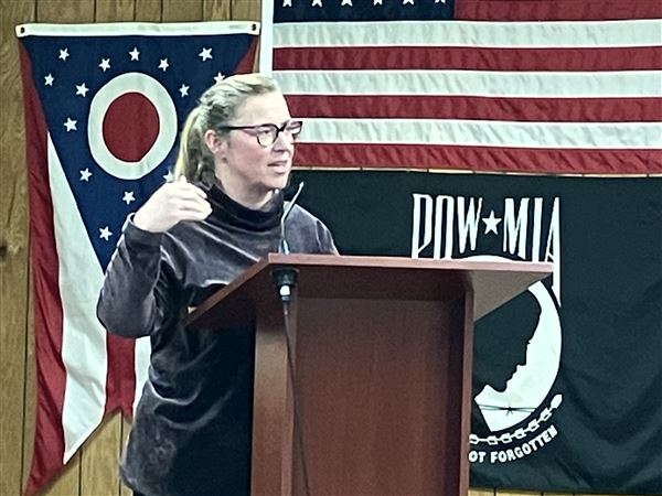 Leslie Sherman was the first speaker, and called for a moratorium. The board did not act on the request.