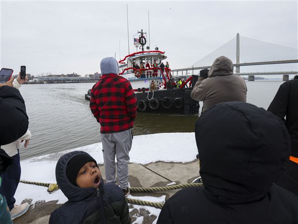 Photo gallery: Christmas trees shipped to National Museum of Great Lakes