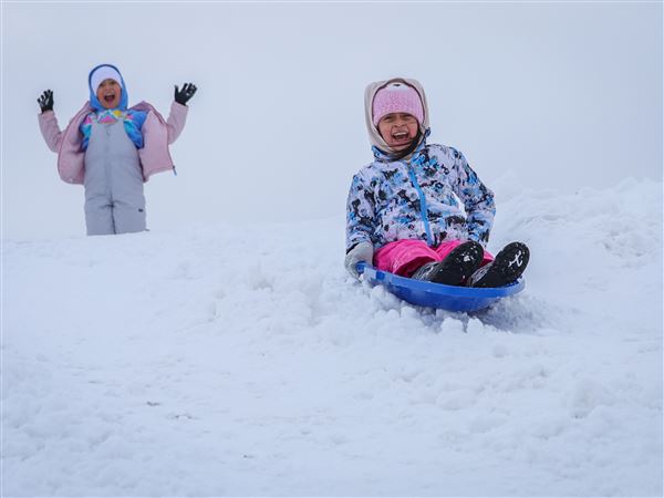 Photo Gallery: Families take to snow-covered Glass City Metropark for sledding