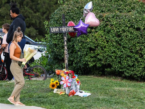 Evidence in Point Place youth’s stabbing includes dashcam video