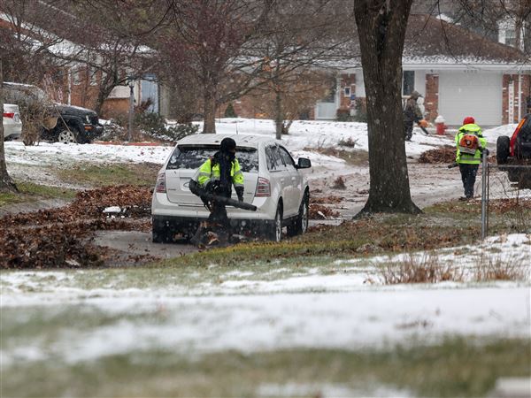 City crews go back to leaf pickups after snowy disruptions