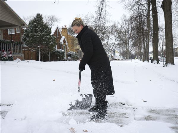 Photo gallery: Best pictures for week ending Dec. 11