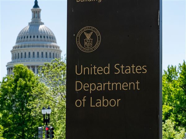 ZDA novembra ustvarile nova delovna mesta, oktobra pa izgubile; stopnja brezposelnosti narasla