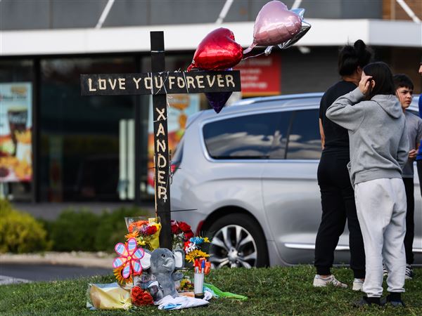 Judge certifies boy in fatal Point Place stabbing for trial in adult court