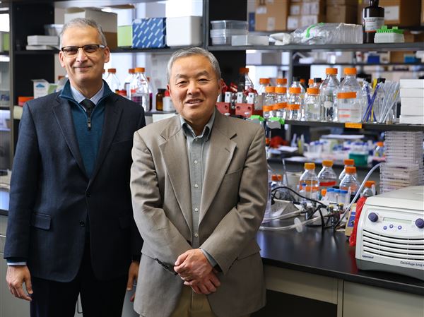 University of Toledo launches cancer research institute