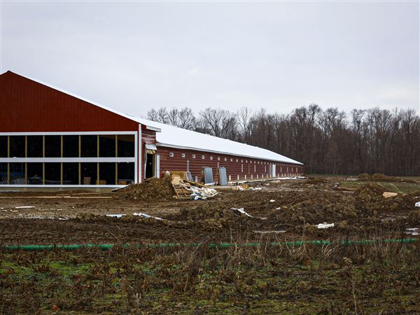 State allows new CAFO to be built within landfill buffer zone, near scenic river