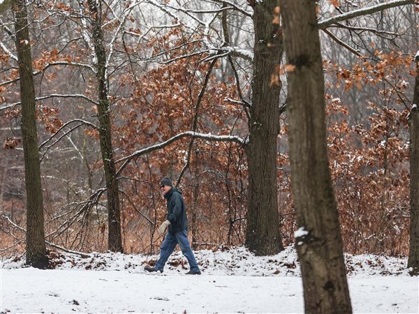 To the editor: Dog walker to Wildwood: Pass on salt