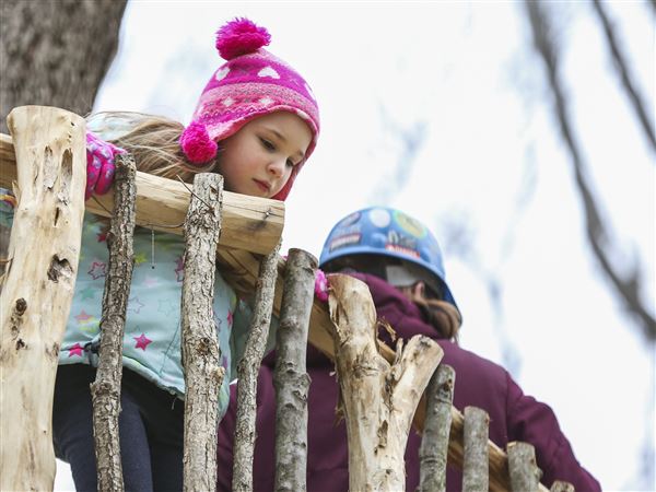 Metroparks hosting holiday-themed open house at treehouse village