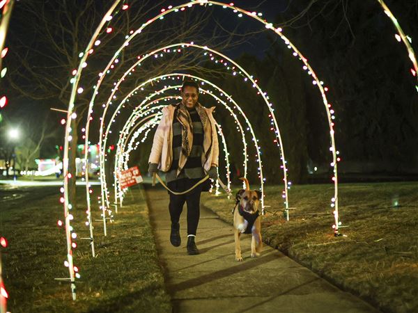 Photo gallery: Centennial Farms Jingle Bell Drive in Sylvania