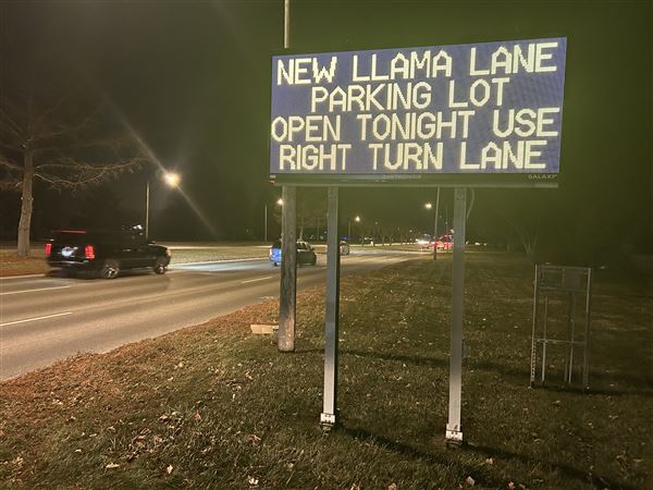 New zoo parking lot opens for overflow use on selected nights