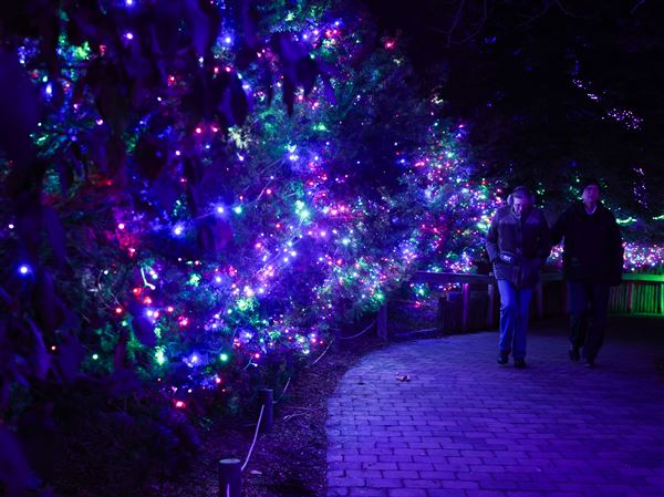 Photo Gallery: Lights Before Christmas