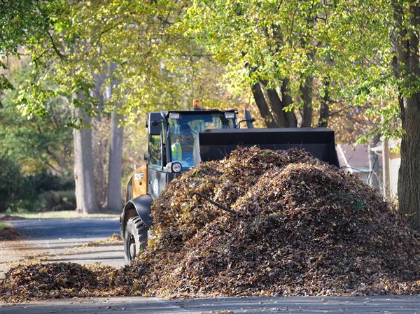 City continues leaf collection efforts