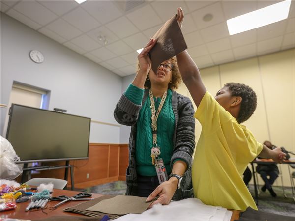 Children make felt toys for shelter cats — and their own pets — at library workshop