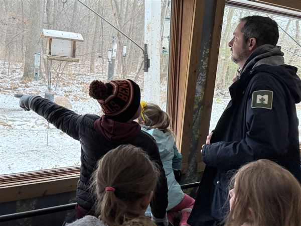 Schools Off, Parks On gives kids nature-based fun during breaks