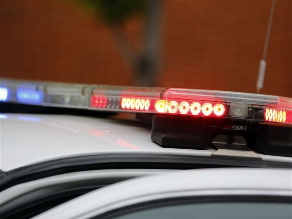 Fremont man killed in 2-vehicle crash in Middleton Twp.