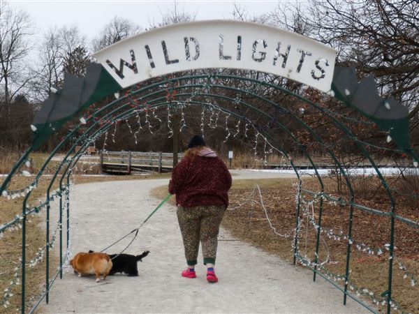 Registration nears for Wild Lights Weekend contestants