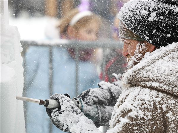 Photo gallery: Best pictures for the week ending Jan. 1