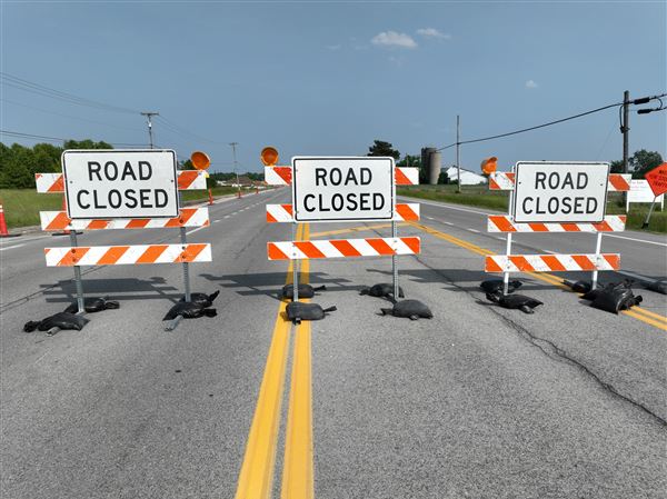 Waterline replacement work forces detour, lane restrictions