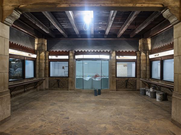 Toledo Zoo reducing tax levy, phasing out operational support