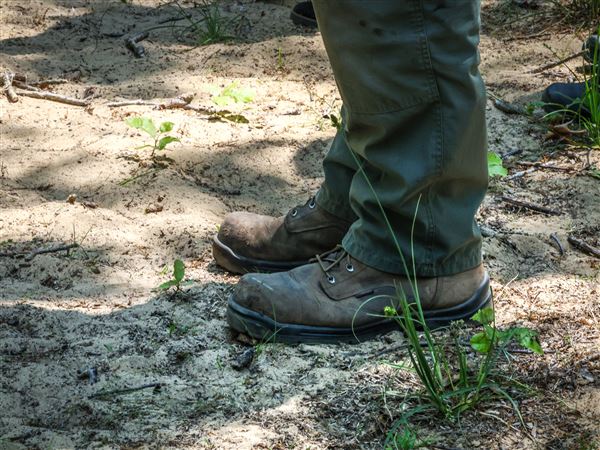 Hiker Fest celebrates the outdoors at Oak Openings