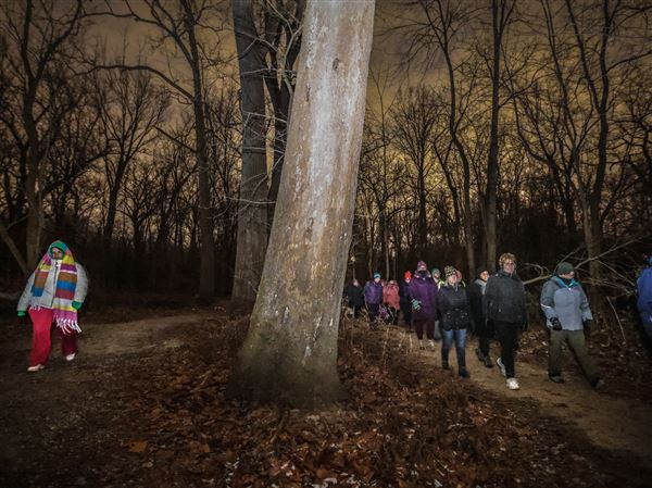 Get fit with Metroparks' weekly night hikes