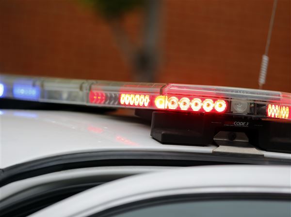 Toledo Crime Log: 2/12