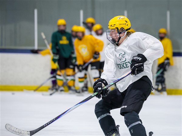 Clay senior hockey players leave lasting impact on surging Eagles program